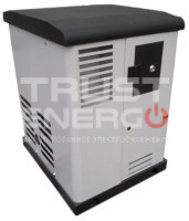 Газовый генератор REG GG12-230S